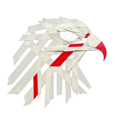 EagleEye